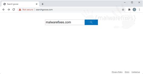 how to remove search goose.